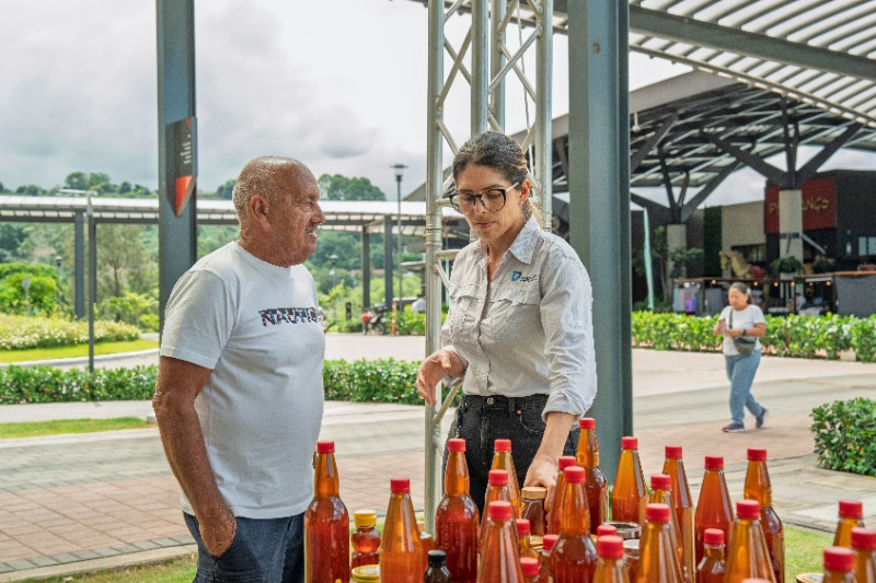 Escuela de emprendimientos